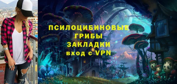 первитин Арсеньев